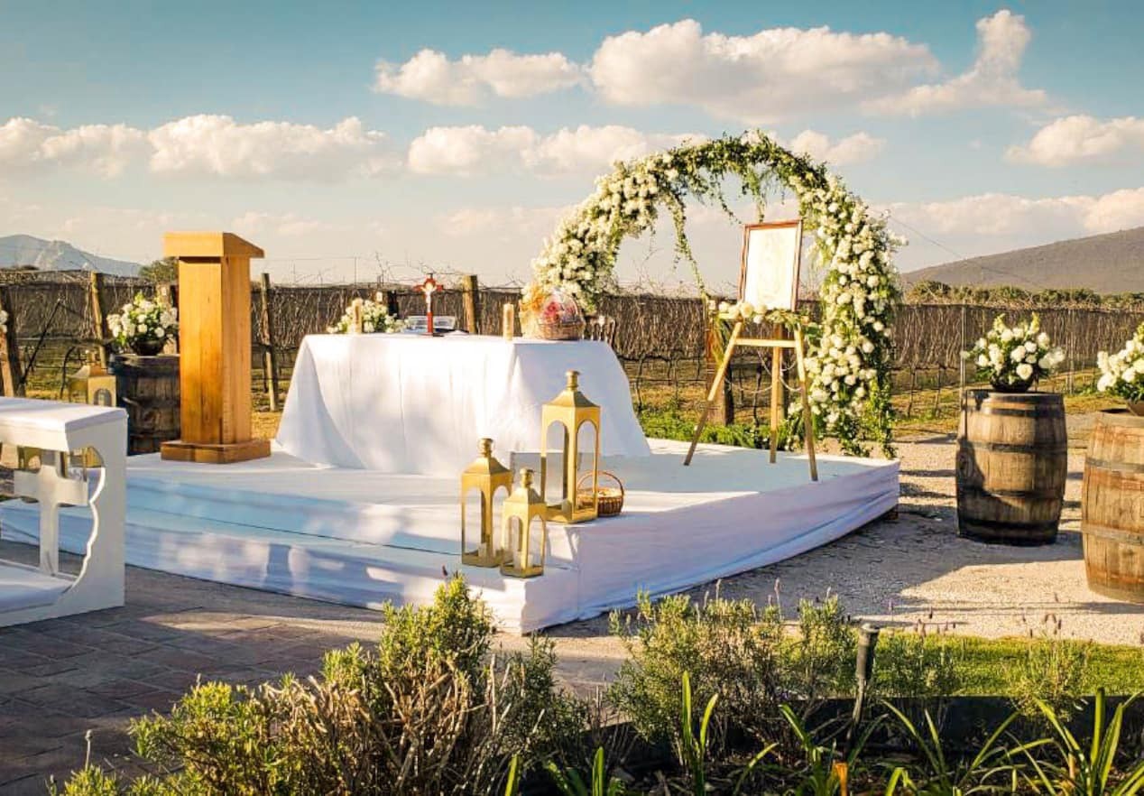 Boda Viñedo